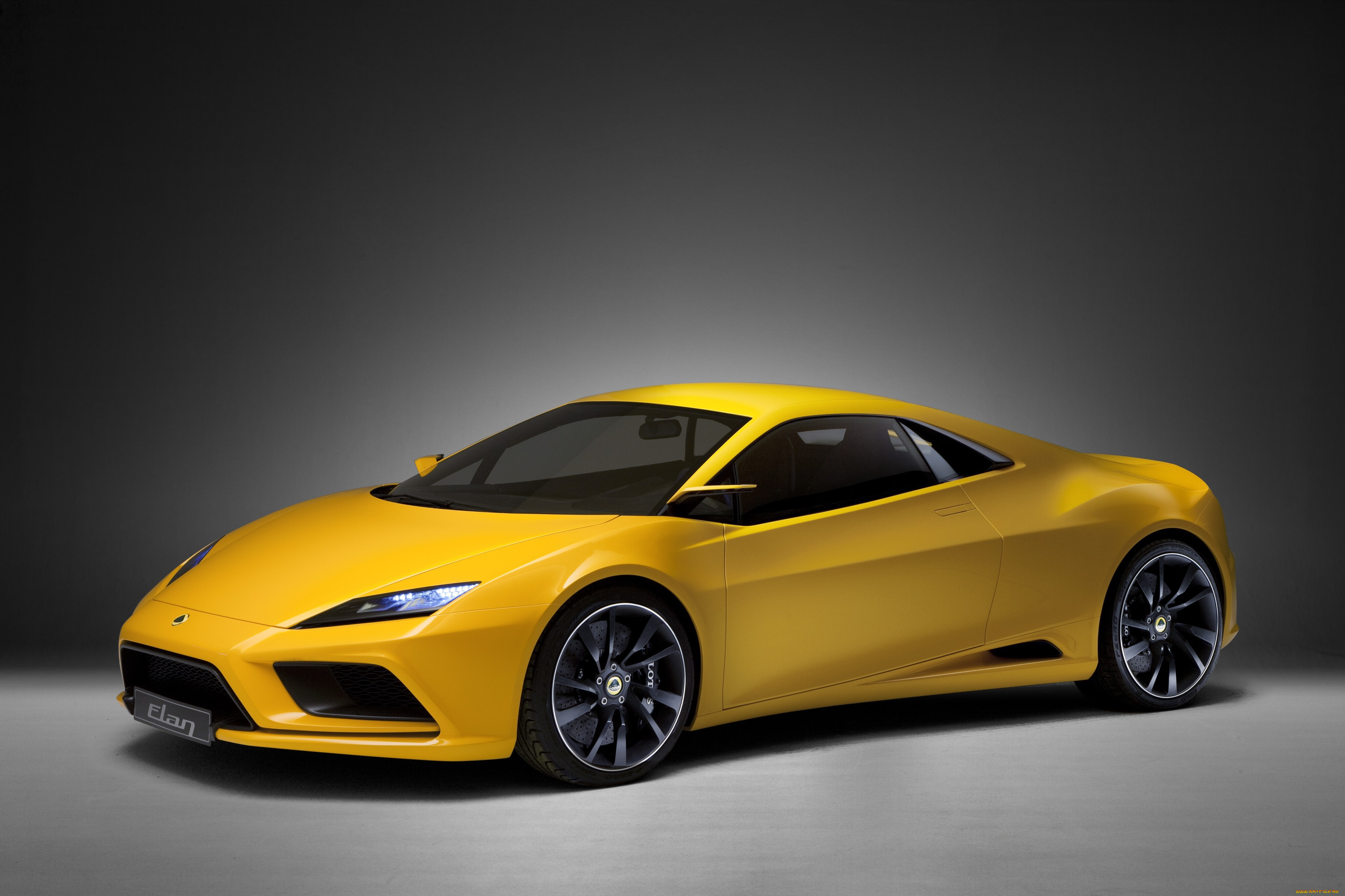 , lotus